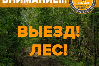 В Заволжском районе спасатели ищут молодую девочку и девушку