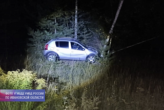 Автомобиль в Ивановской области наехал на диких кабанов (ФОТО)