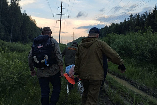 Ивановские поисковики сообщили о первом в 2024 году розыске пропавшего грибника (ФОТО)