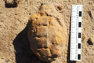 В Ивановской области обследовали корпус гранаты Ф-1 (ФОТО)