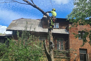 В Иванове убрали поврежденные ураганом деревья (ФОТО)