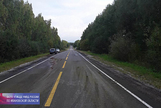 В Палехском районе автомобиль наехал на лося, а потом легковушку отбросило на дерево (ФОТО)