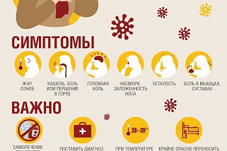 На минувшей неделе в Иванове выявлено 10,6 тысяч случаев ОРВИ