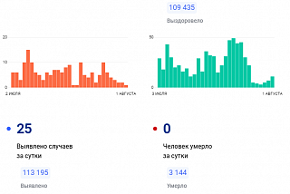 25 случаев заражения новой коронавирусной инфекцией выявлено в Ивановской области