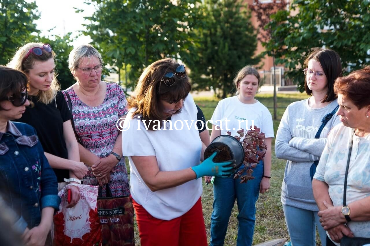 Благотворительный фонд фото