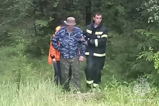 В Ивановской области с начала года поступило 46 заявок на поиск заблудившихся в лесу