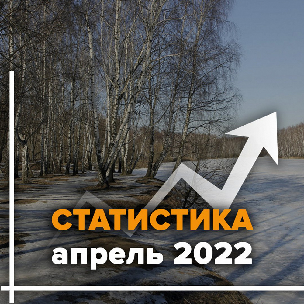 В апреле в Ивановской области 23 поиска завершились долгожданным «найден, жив»