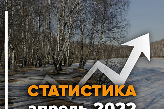 В апреле в Ивановской области 23 поиска завершились долгожданным «найден, жив»