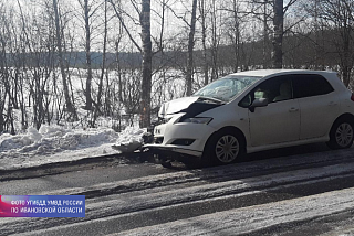 Легковушка автомобилистки в Ивановском районе влетела в дерево (ФОТО)