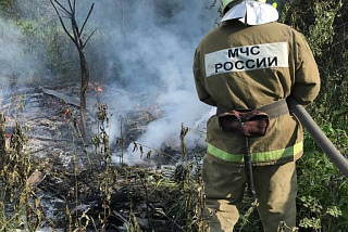В Ивановской области горит лес