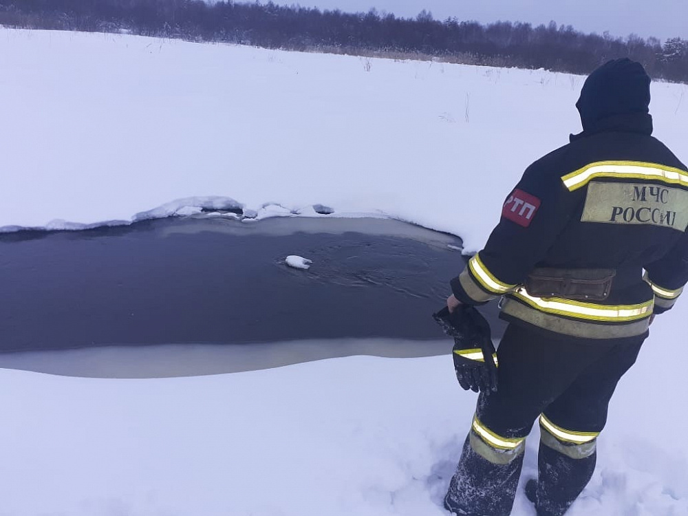 В Лухском районе из реки извлекли тело ребенка (ФОТО)